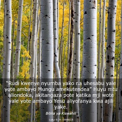 Picture 03 - Luka 8:39 SWHULB - “Rudi kwenye nyumba yako na uhesabu yale yote - Bible Verse Picture