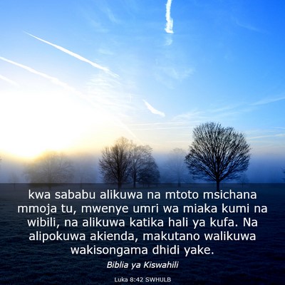 Picture 03 - Luka 8:42 SWHULB - kwa sababu alikuwa na mtoto msichana mmoja tu, - Bible Verse Picture