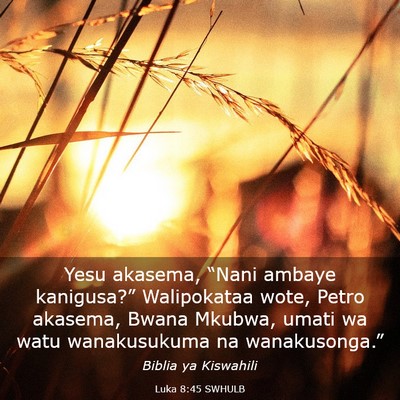 Picture 03 - Luka 8:45 SWHULB - Yesu akasema, “Nani ambaye kanigusa?” - Bible Verse Picture