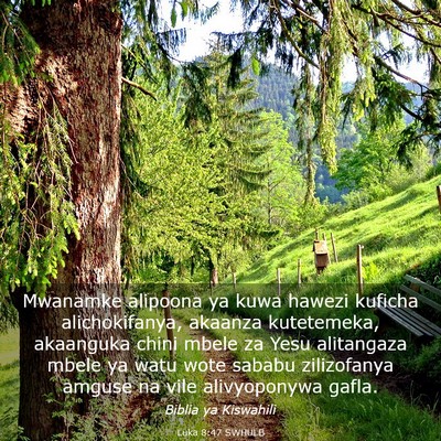Picture 03 - Luka 8:47 SWHULB - Mwanamke alipoona ya kuwa hawezi kuficha - Bible Verse Picture