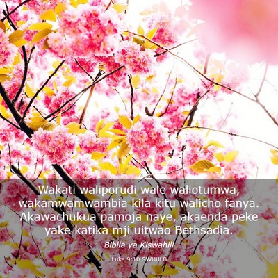 Picture 03 - Luka 9:10 SWHULB - Wakati waliporudi wale waliotumwa, wakamwamwambia - Bible Verse Picture