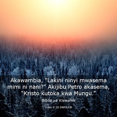 Picture 03 - Luka 9:20 SWHULB - Akawambia, “Lakini ninyi mwasema mimi ni - Bible Verse Picture