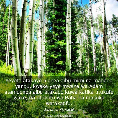 Picture 03 - Luka 9:26 SWHULB - Yeyote atakaye nionea aibu mimi na maneno yangu, - Bible Verse Picture