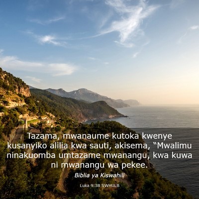 Picture 03 - Luka 9:38 SWHULB - Tazama, mwanaume kutoka kwenye kusanyiko alilia - Bible Verse Picture