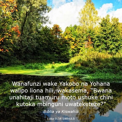 Picture 03 - Luka 9:54 SWHULB - Wanafunzi wake Yakobo na Yohana walipo liona - Bible Verse Picture