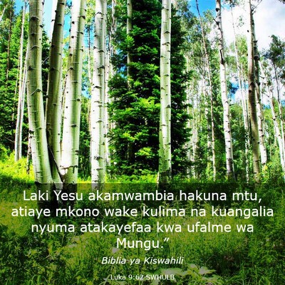 Picture 03 - Luka 9:62 SWHULB - Laki Yesu akamwambia hakuna mtu, atiaye mkono - Bible Verse Picture