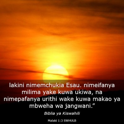 Picture 03 - Malaki 1:3 SWHULB - lakini nimemchukia Esau. nimeifanya milima yake - Bible Verse Picture