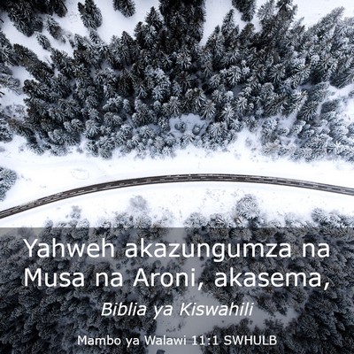 Picture 03 - Mambo ya Walawi 11:1 SWHULB - Yahweh akazungumza na Musa na Aroni, - Bible Verse Picture