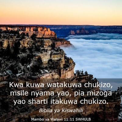 Picture 03 - Mambo ya Walawi 11:11 SWHULB - Kwa kuwa watakuwa chukizo, msile nyama yao, pia - Bible Verse Picture
