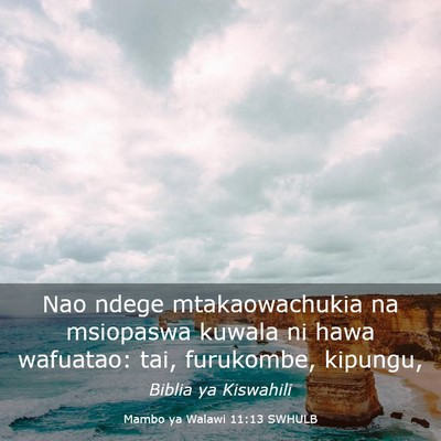 Picture 03 - Mambo ya Walawi 11:13 SWHULB - Nao ndege mtakaowachukia na msiopaswa kuwala ni - Bible Verse Picture