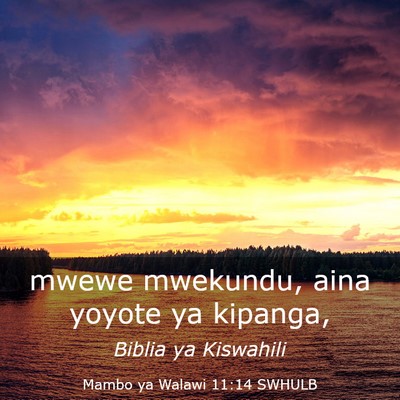Picture 03 - Mambo ya Walawi 11:14 SWHULB - mwewe mwekundu, aina yoyote ya - Bible Verse Picture