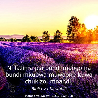 Picture 03 - Mambo ya Walawi 11:17 SWHULB - Ni lazima pia bundi mdogo na bundi mkubwa muwaone - Bible Verse Picture
