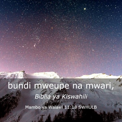 Picture 03 - Mambo ya Walawi 11:18 SWHULB - bundi mweupe na - Bible Verse Picture