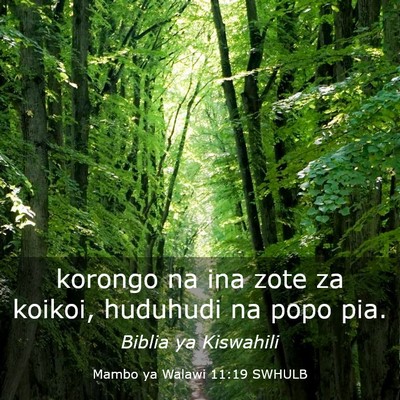 Picture 03 - Mambo ya Walawi 11:19 SWHULB - korongo na ina zote za koikoi, huduhudi na popo - Bible Verse Picture