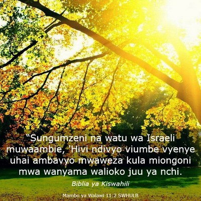 Picture 03 - Mambo ya Walawi 11:2 SWHULB - “Sungumzeni na watu wa Israeli muwaambie, 'Hivi - Bible Verse Picture