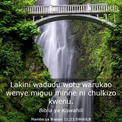 Picture 03 - Mambo ya Walawi 11:23 SWHULB - Lakini wadudu wote warukao wenye miguu minne ni - Bible Verse Picture
