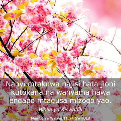 Picture 03 - Mambo ya Walawi 11:24 SWHULB - Nanyi mtakuwa najisi hata jioni kutokana na - Bible Verse Picture
