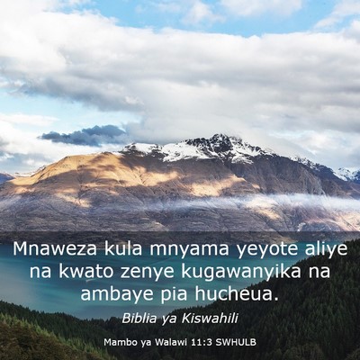 Picture 03 - Mambo ya Walawi 11:3 SWHULB - Mnaweza kula mnyama yeyote aliye na kwato zenye - Bible Verse Picture