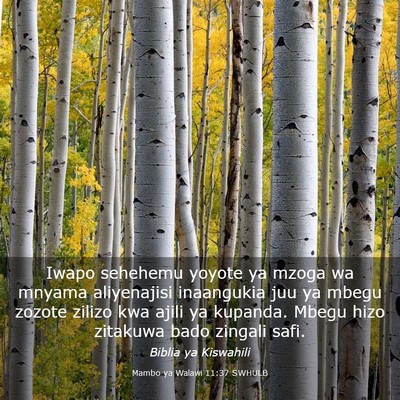 Picture 03 - Mambo ya Walawi 11:37 SWHULB - Iwapo sehehemu yoyote ya mzoga wa mnyama - Bible Verse Picture