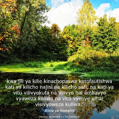Picture 03 - Mambo ya Walawi 11:47 SWHULB - kwa jili ya kilie kinachopaswa kutofautishwa kati - Bible Verse Picture