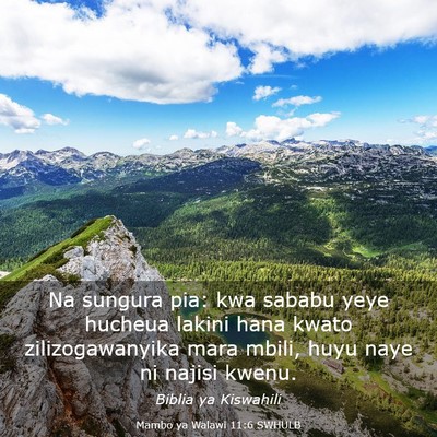 Picture 03 - Mambo ya Walawi 11:6 SWHULB - Na sungura pia: kwa sababu yeye hucheua lakini - Bible Verse Picture