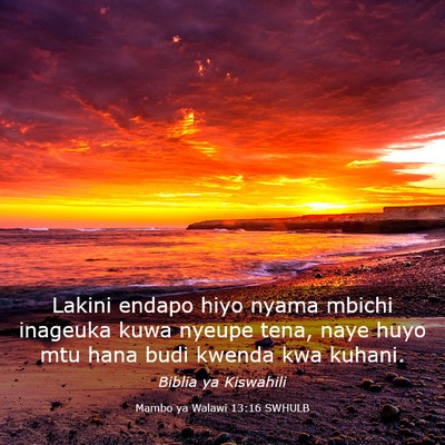 Picture 03 - Mambo ya Walawi 13:16 SWHULB - Lakini endapo hiyo nyama mbichi inageuka kuwa - Bible Verse Picture