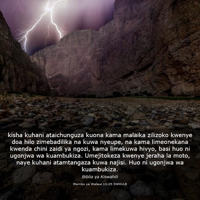 Picture 03 - Mambo ya Walawi 13:25 SWHULB - kisha kuhani ataichunguza kuona kama malaika - Bible Verse Picture