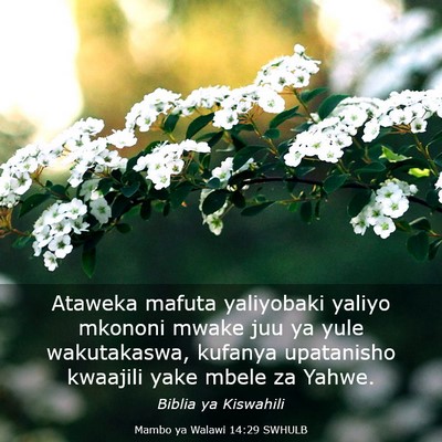 Picture 03 - Mambo ya Walawi 14:29 SWHULB - Ataweka mafuta yaliyobaki yaliyo mkononi mwake - Bible Verse Picture