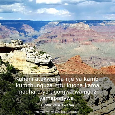 Picture 03 - Mambo ya Walawi 14:3 SWHULB - Kuhani atakwenda nje ya kambi kumchunguza mtu - Bible Verse Picture