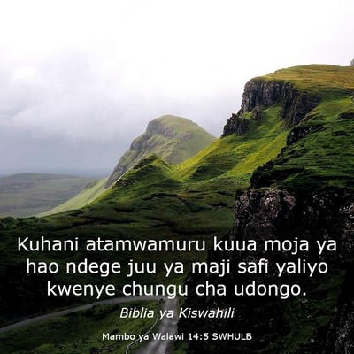 Picture 03 - Mambo ya Walawi 14:5 SWHULB - Kuhani atamwamuru kuua moja ya hao ndege juu ya - Bible Verse Picture