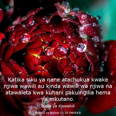 Picture 03 - Mambo ya Walawi 15:29 SWHULB - Katika siku ya nane atachukua kwake njiwa wawili - Bible Verse Picture