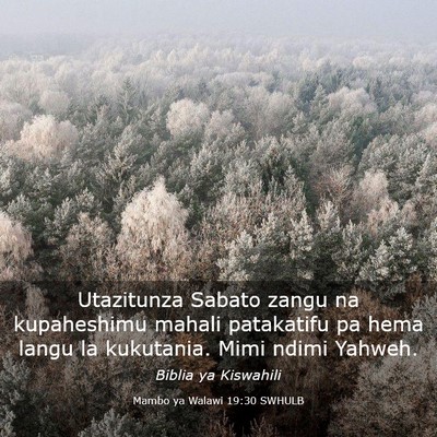 Picture 03 - Mambo ya Walawi 19:30 SWHULB - Utazitunza Sabato zangu na kupaheshimu mahali - Bible Verse Picture