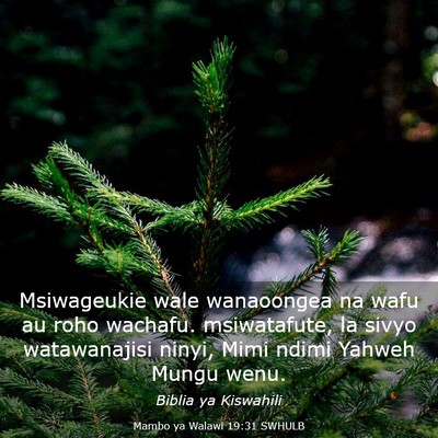 Picture 03 - Mambo ya Walawi 19:31 SWHULB - Msiwageukie wale wanaoongea na wafu au roho - Bible Verse Picture