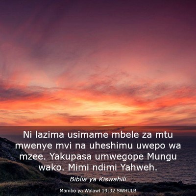 Picture 03 - Mambo ya Walawi 19:32 SWHULB - Ni lazima usimame mbele za mtu mwenye mvi na - Bible Verse Picture