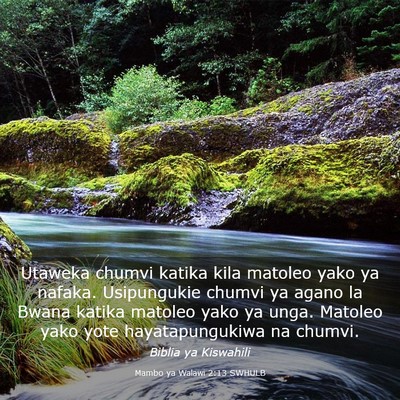 Picture 03 - Mambo ya Walawi 2:13 SWHULB - Utaweka chumvi katika kila matoleo yako ya - Bible Verse Picture