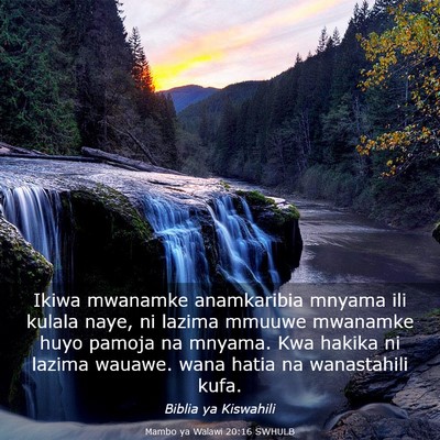 Picture 03 - Mambo ya Walawi 20:16 SWHULB - Ikiwa mwanamke anamkaribia mnyama ili kulala - Bible Verse Picture