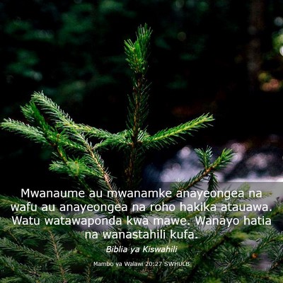 Picture 03 - Mambo ya Walawi 20:27 SWHULB - Mwanaume au mwanamke anayeongea na wafu au - Bible Verse Picture