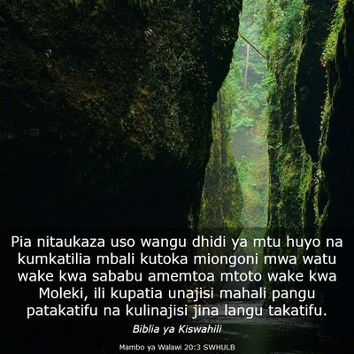 Picture 03 - Mambo ya Walawi 20:3 SWHULB - Pia nitaukaza uso wangu dhidi ya mtu huyo na - Bible Verse Picture