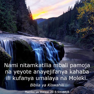Picture 03 - Mambo ya Walawi 20:5 SWHULB - Nami nitamkatilia mbali pamoja na yeyote - Bible Verse Picture
