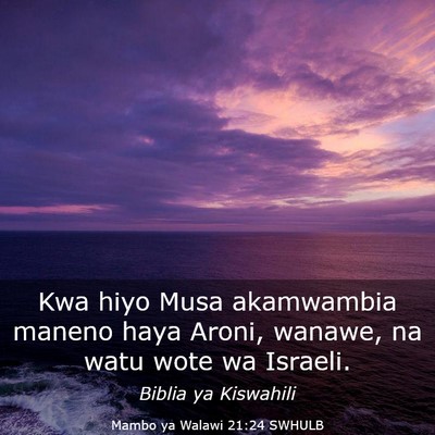 Picture 03 - Mambo ya Walawi 21:24 SWHULB - Kwa hiyo Musa akamwambia maneno haya Aroni, - Bible Verse Picture