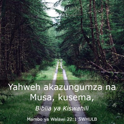 Picture 03 - Mambo ya Walawi 22:1 SWHULB - Yahweh akazungumza na Musa, - Bible Verse Picture
