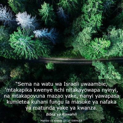 Picture 03 - Mambo ya Walawi 23:10 SWHULB - “Sema na watu wa Israeli uwaambie, 'mtakapika - Bible Verse Picture
