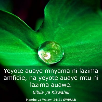Picture 03 - Mambo ya Walawi 24:21 SWHULB - Yeyote auaye mnyama ni lazima amfidie, na yeyote - Bible Verse Picture
