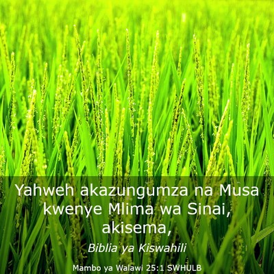 Picture 03 - Mambo ya Walawi 25:1 SWHULB - Yahweh akazungumza na Musa kwenye Mlima wa Sinai, - Bible Verse Picture