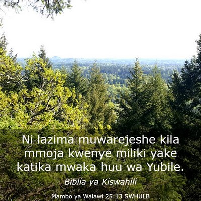 Picture 03 - Mambo ya Walawi 25:13 SWHULB - Ni lazima muwarejeshe kila mmoja kwenye miliki - Bible Verse Picture