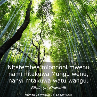 Picture 03 - Mambo ya Walawi 26:12 SWHULB - Nitatembea miongoni mwenu nami nitakuwa Mungu - Bible Verse Picture