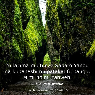 Picture 03 - Mambo ya Walawi 26:2 SWHULB - Ni lazima muitunze Sabato Yangu na kupaheshimu - Bible Verse Picture