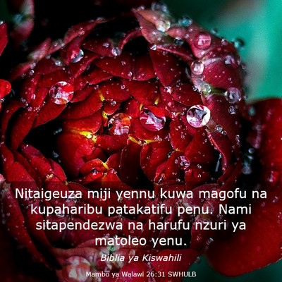 Picture 03 - Mambo ya Walawi 26:31 SWHULB - Nitaigeuza miji yennu kuwa magofu na kupaharibu - Bible Verse Picture