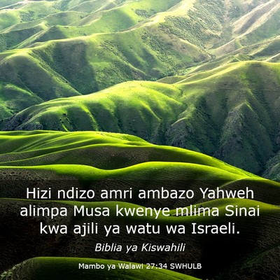 Picture 03 - Mambo ya Walawi 27:34 SWHULB - Hizi ndizo amri ambazo Yahweh alimpa Musa kwenye - Bible Verse Picture
