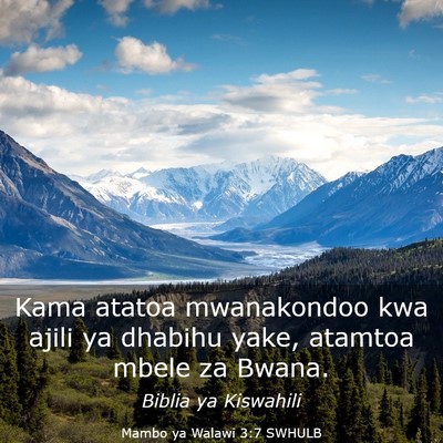 Picture 03 - Mambo ya Walawi 3:7 SWHULB - Kama atatoa mwanakondoo kwa ajili ya dhabihu - Bible Verse Picture